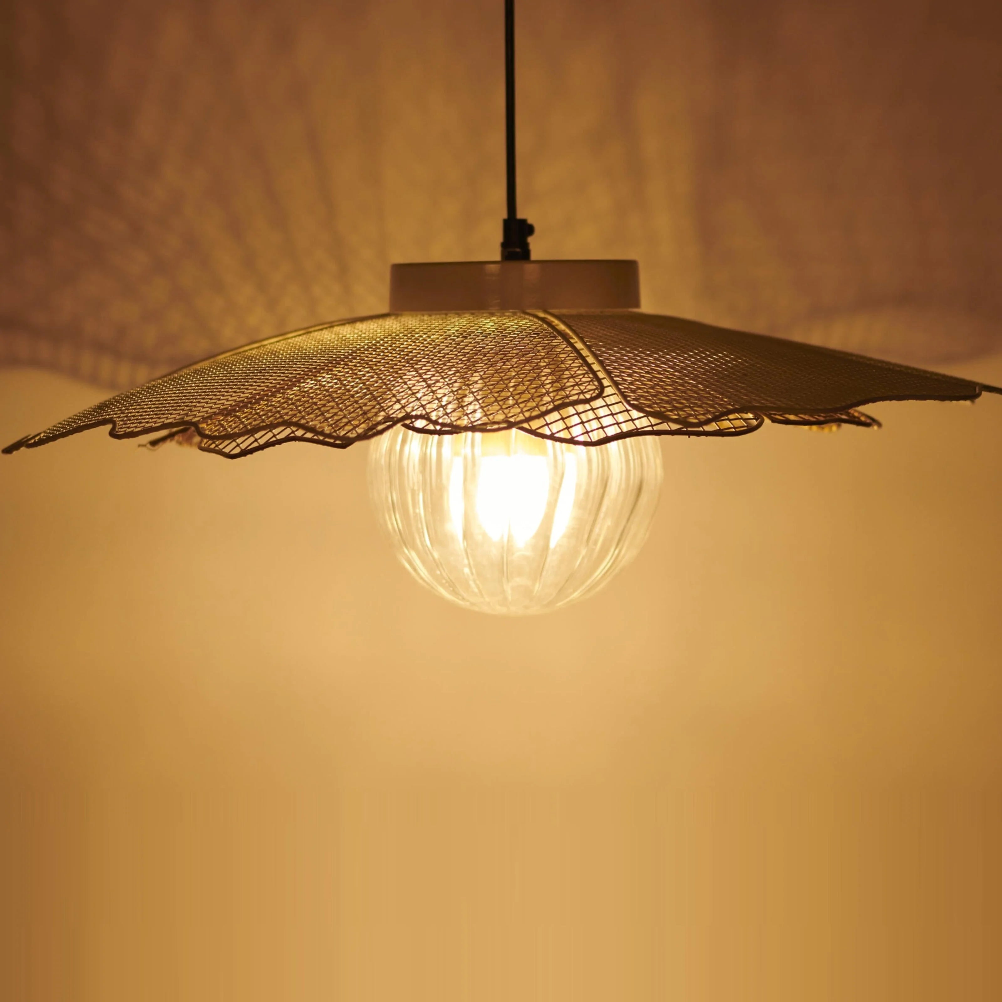 Keshi Leaf Mesh Hanging Lamp